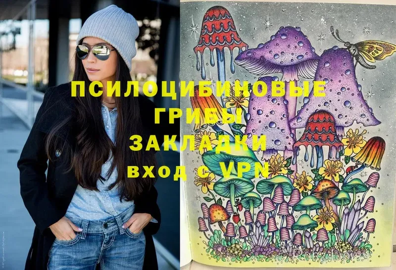 omg ссылка  даркнет какой сайт  Галлюциногенные грибы Psilocybe  Белинский 